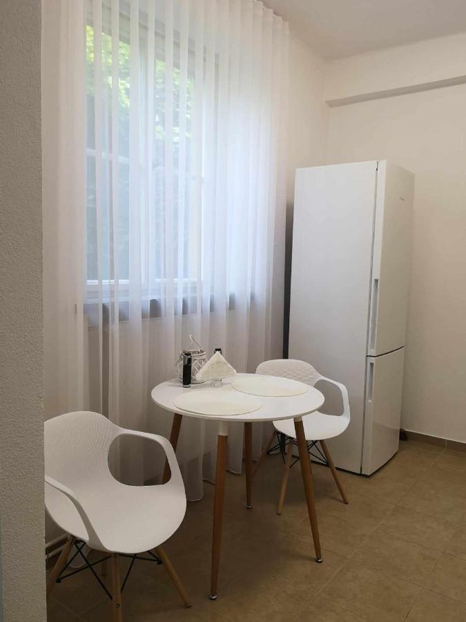 Apartman Dlouha 207 Litoměřice Eksteriør billede